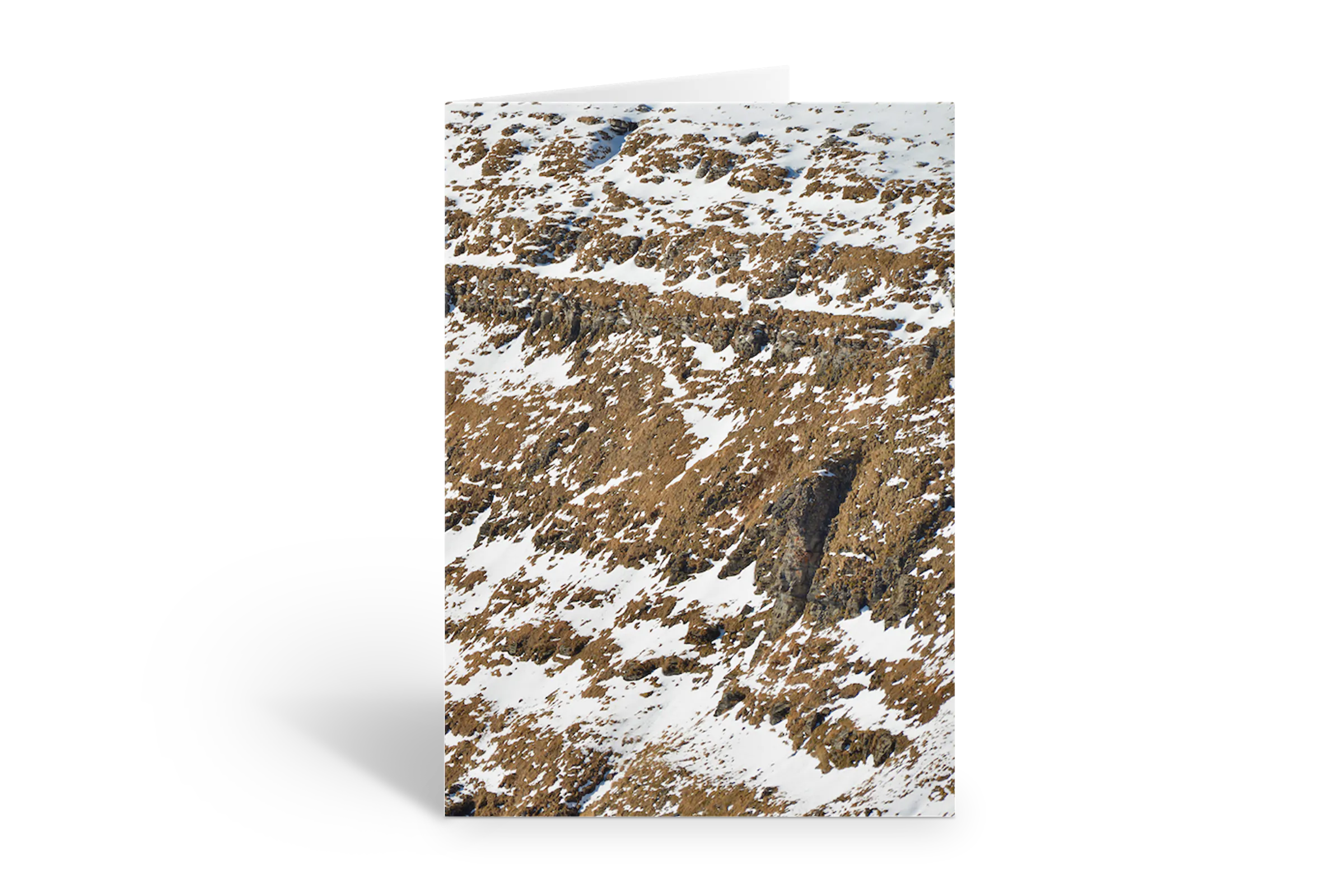 Rosaly Card | 2026 No  2