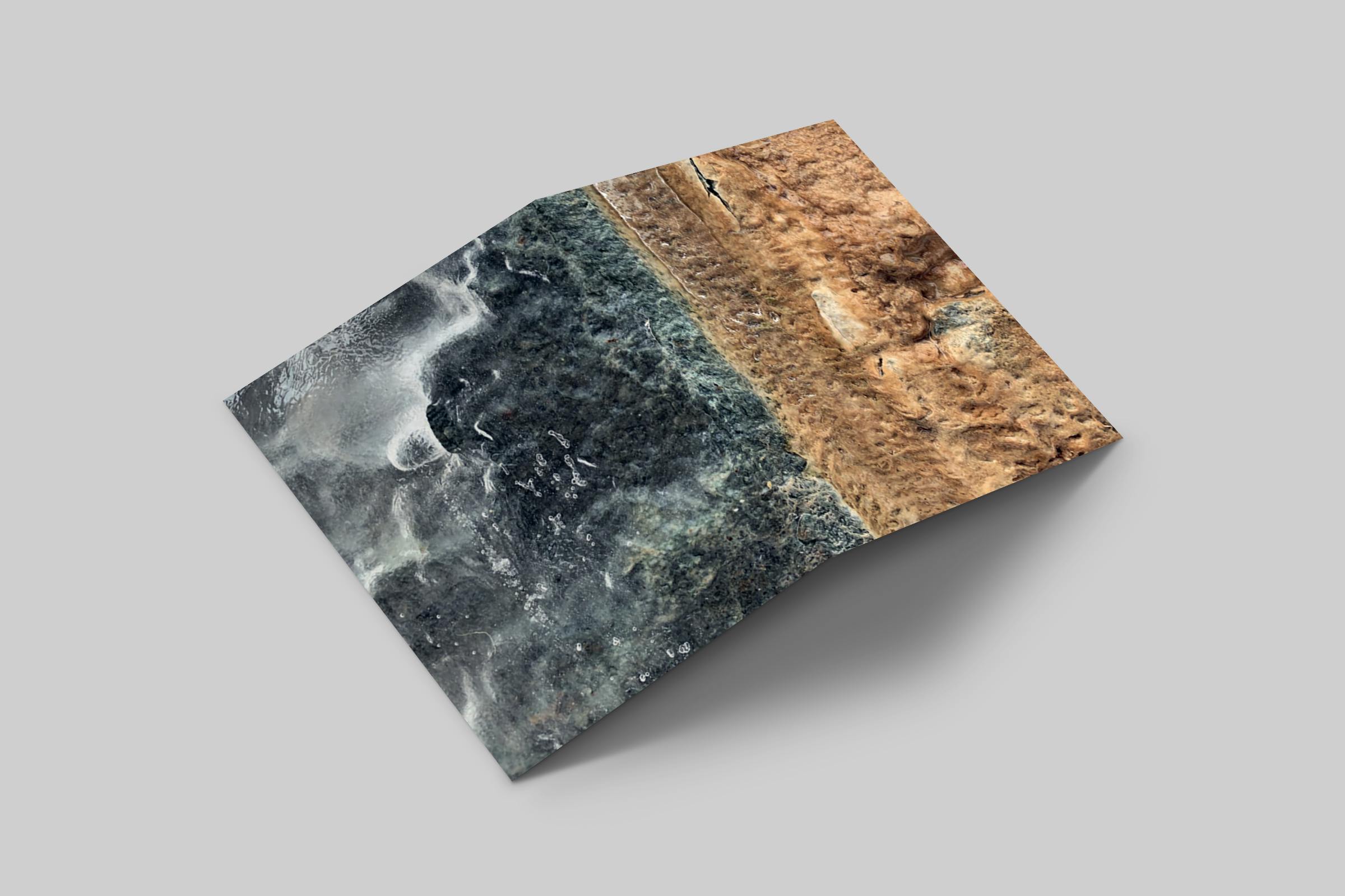 Rosaly Card | 2019 No 2