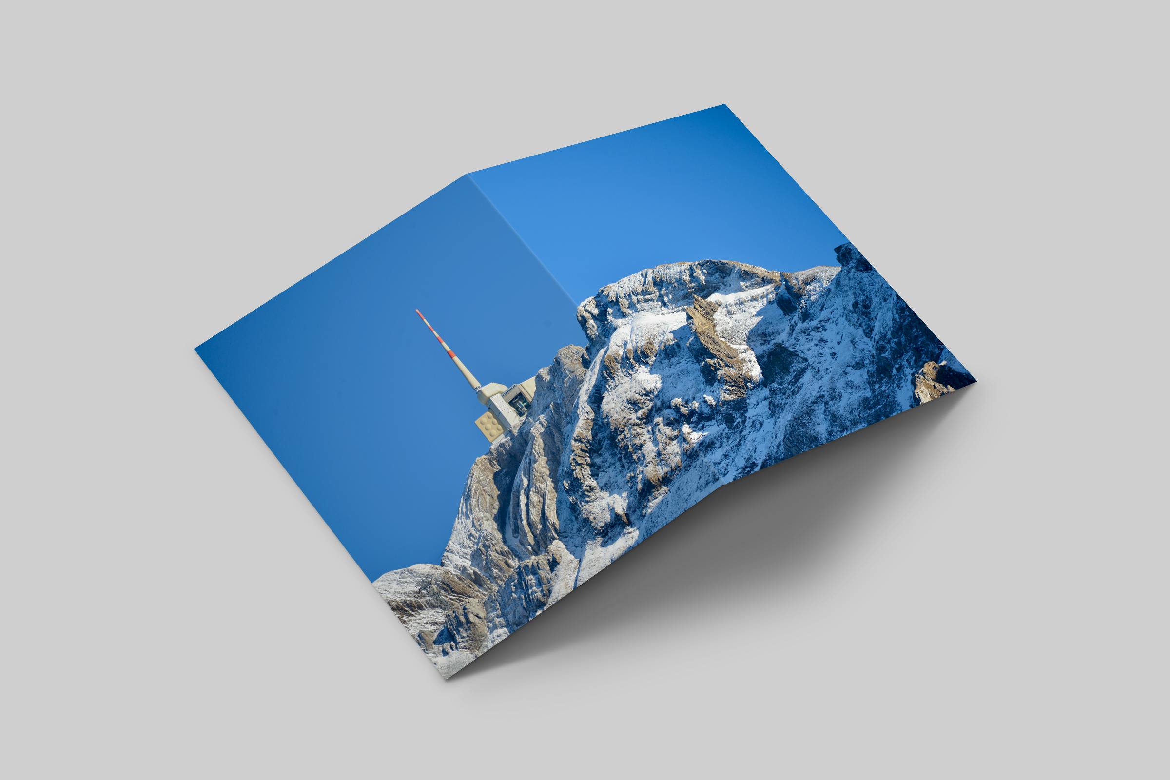 Rosaly Card | 2025 No 2