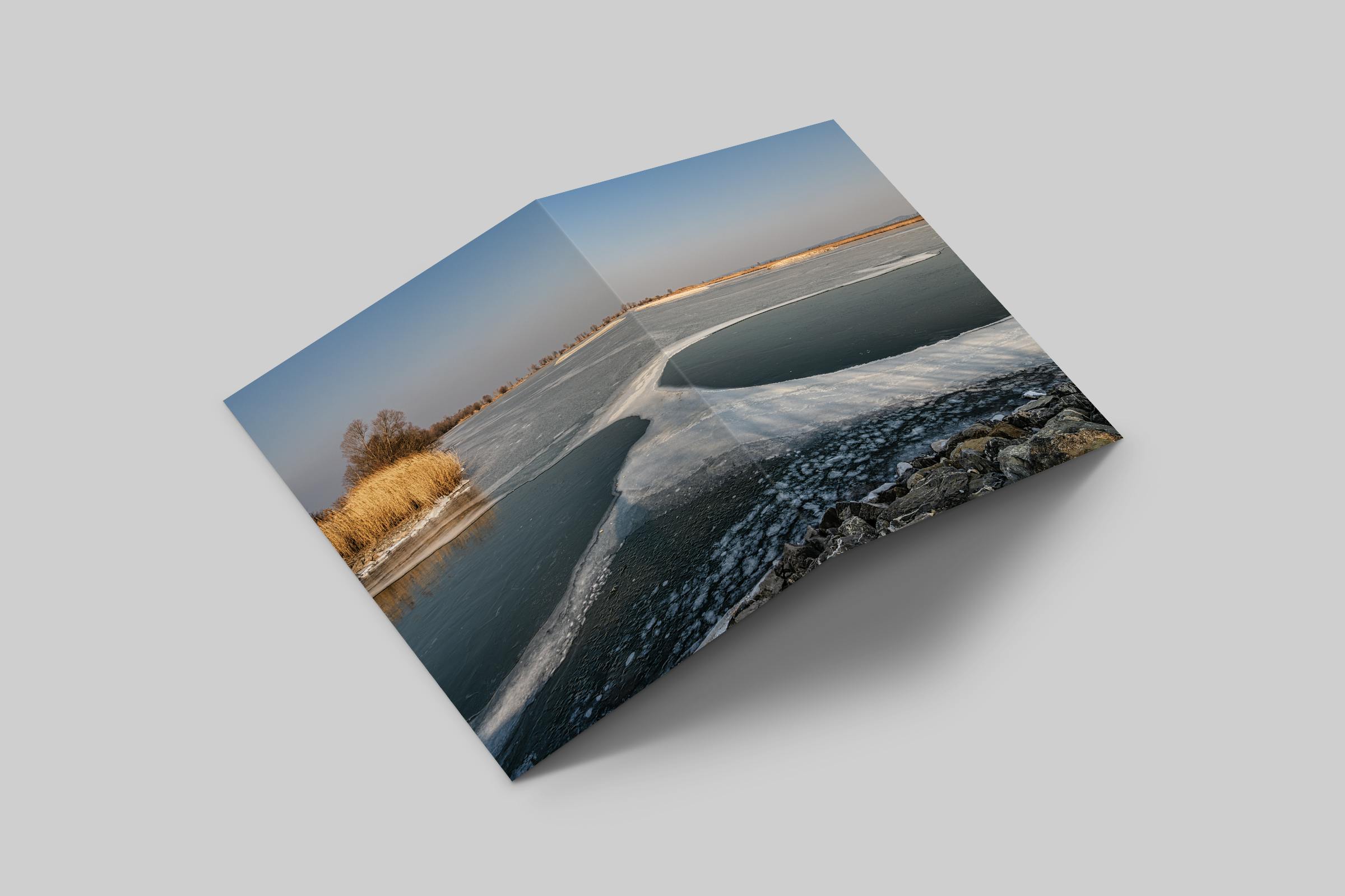 Rosaly Card | 2025 No 1