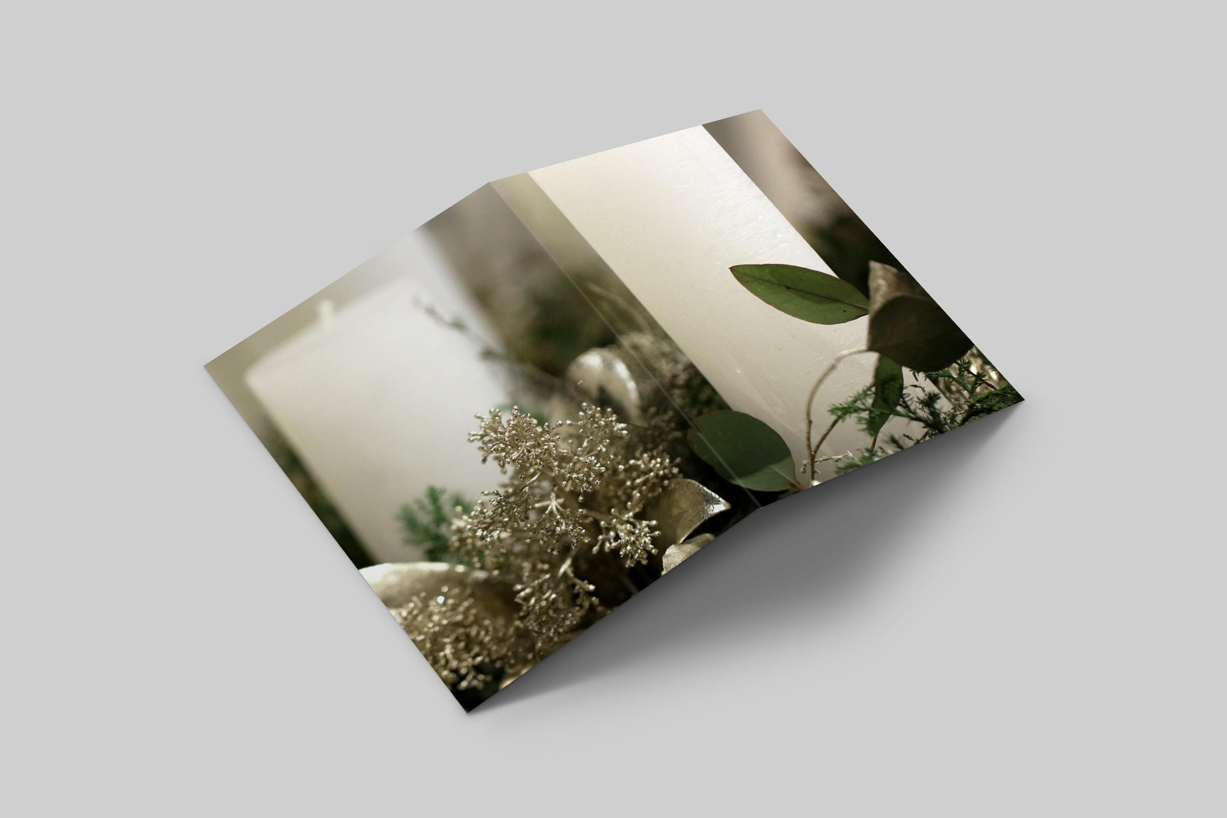 Rosaly Card | 2025 No 5