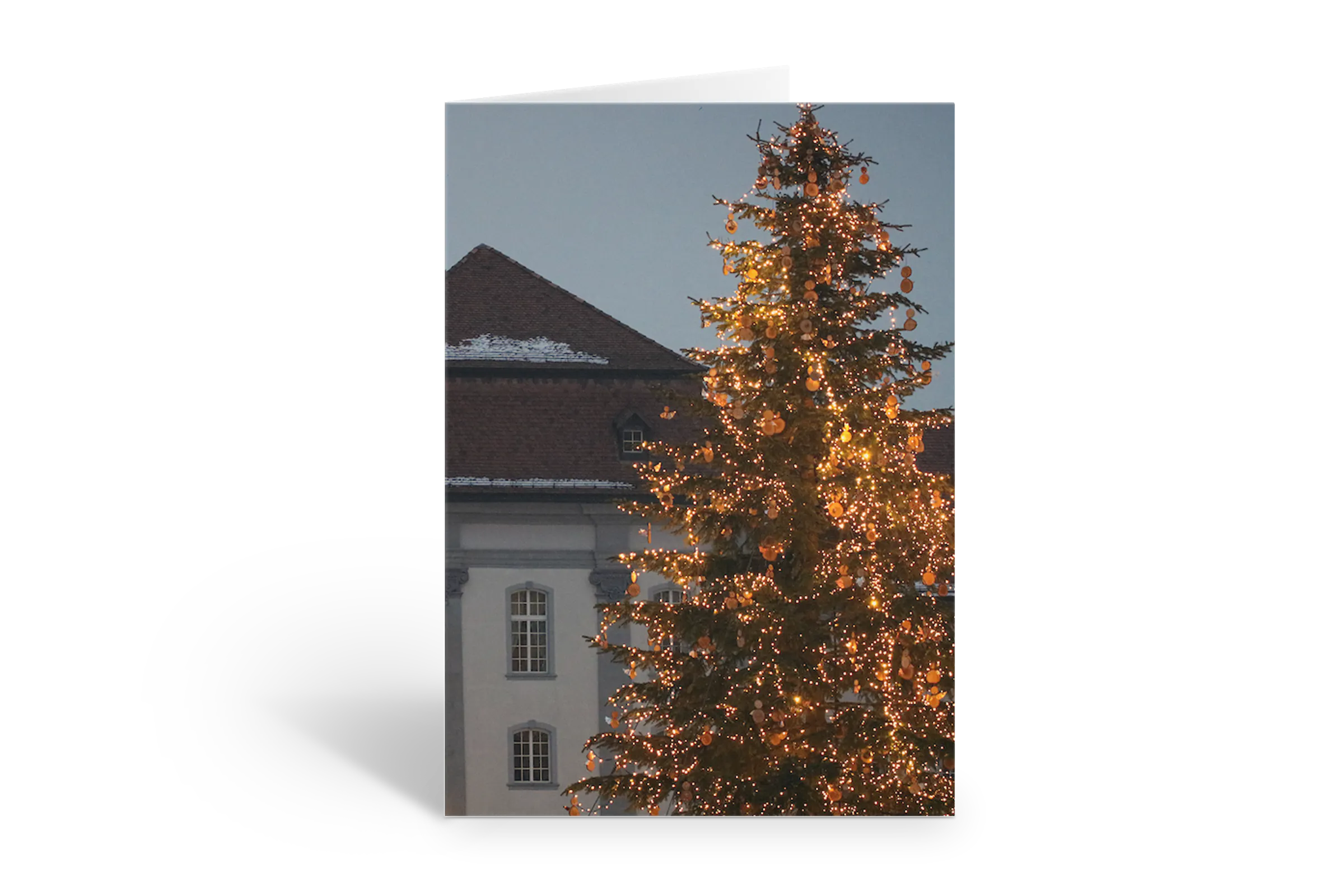 Rosaly Card | 2026 No  7