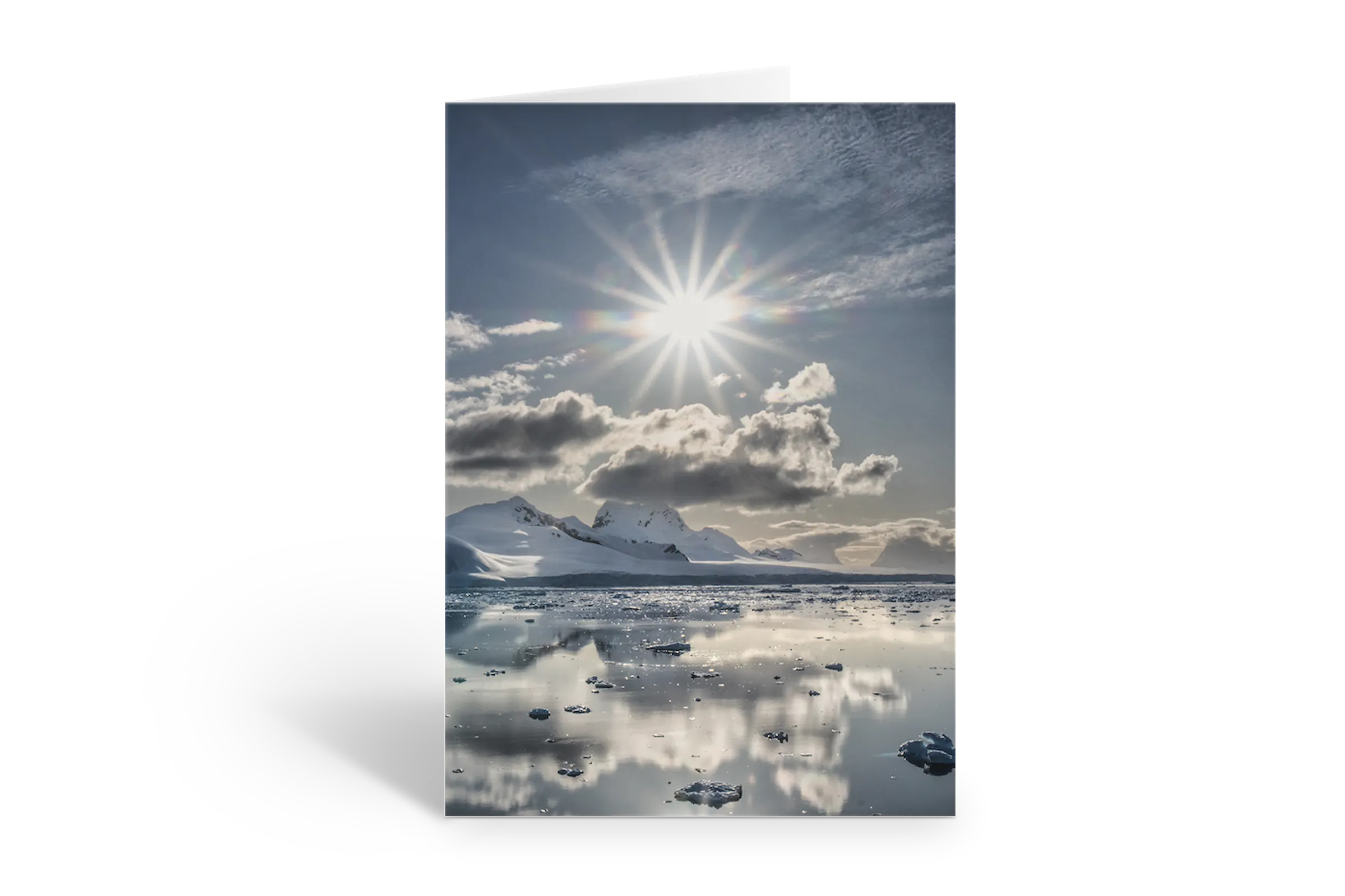 Rosaly Card | 2026 No 13