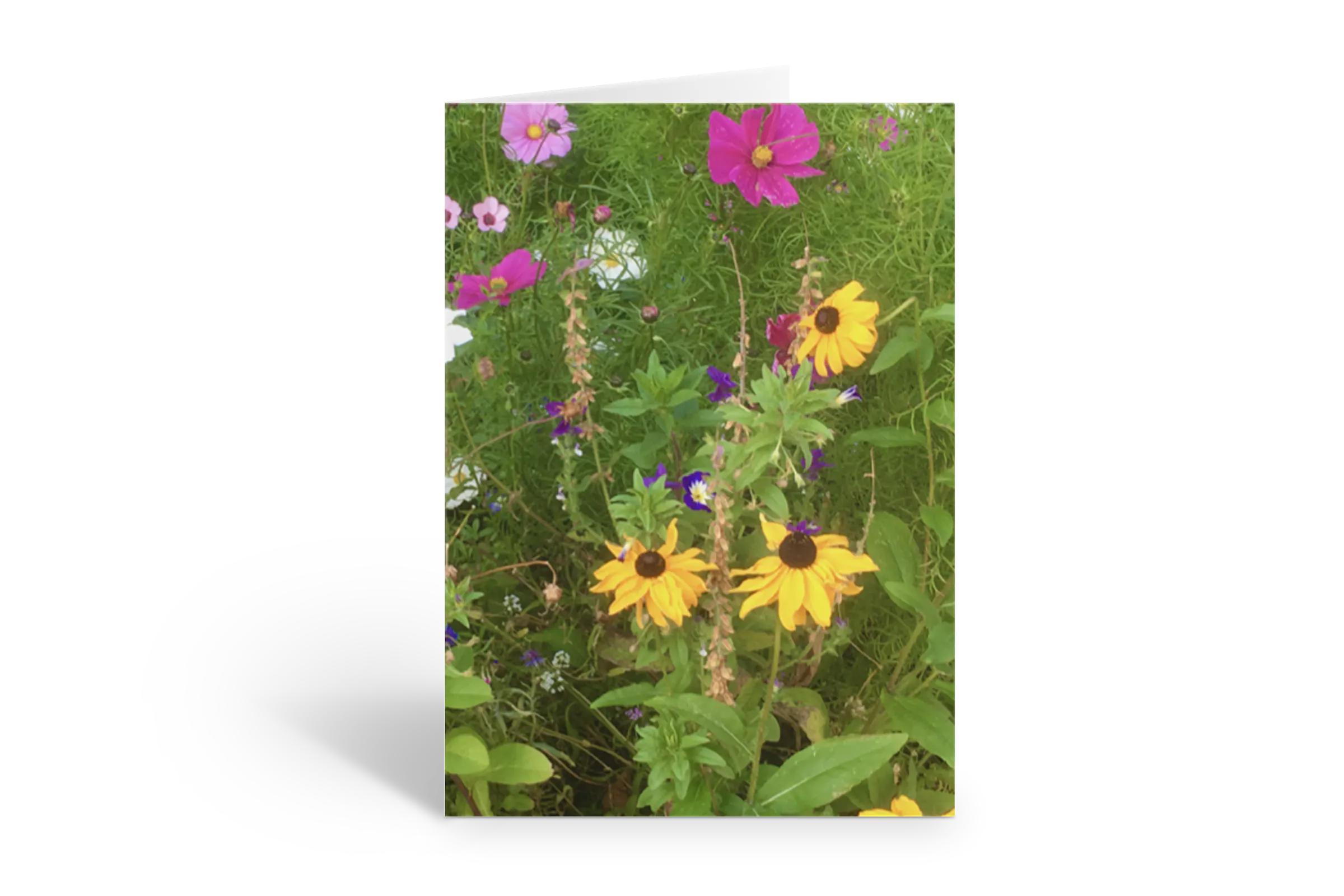Rosaly Card | 2026 No  6
