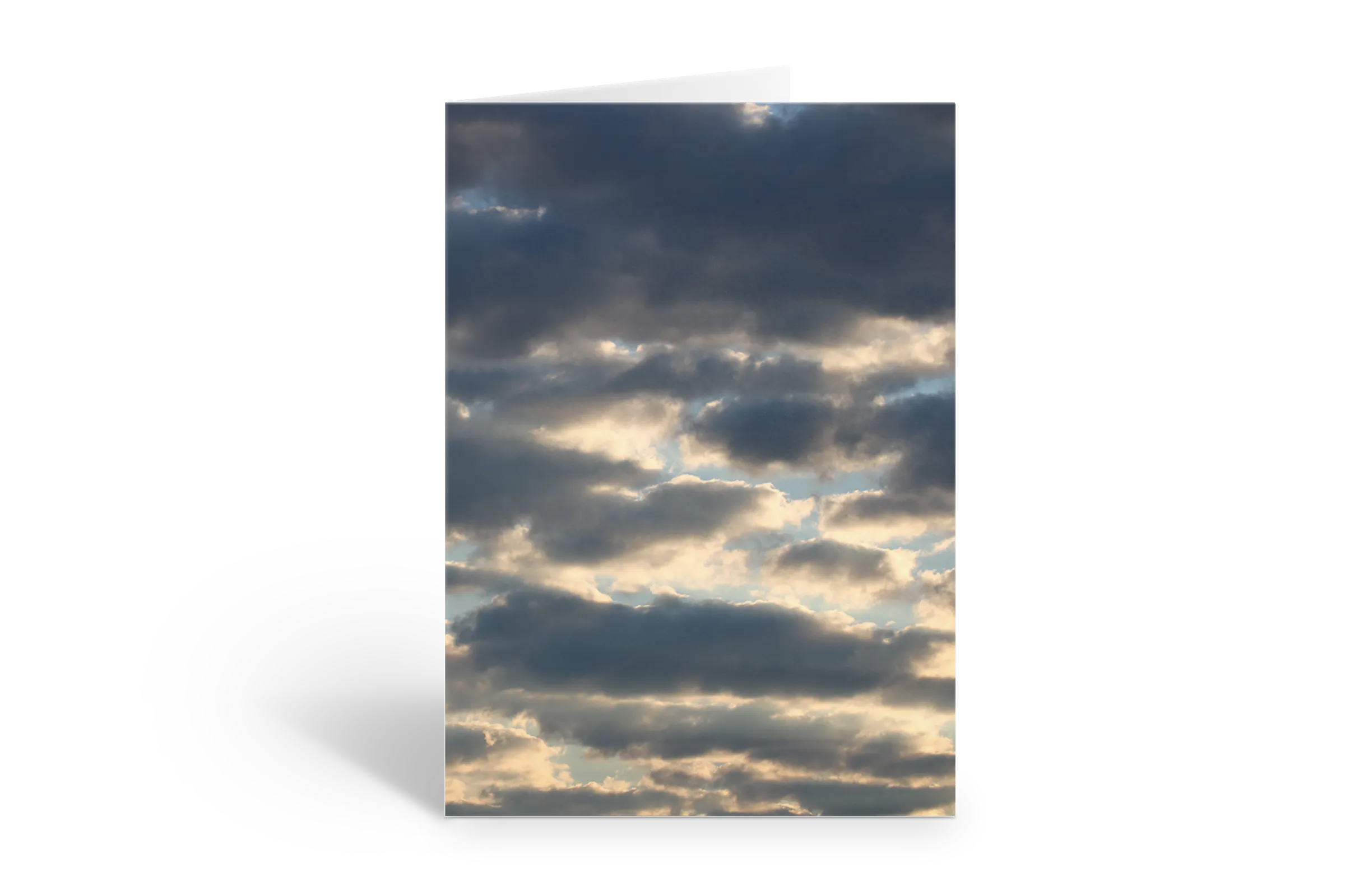 Rosaly Card | 2026 No  3